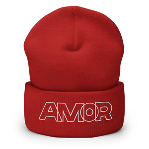 A men’s red beanie features a professionally embroidered, original “Love” design by Christian Clothing Brand - Loves Everywhere